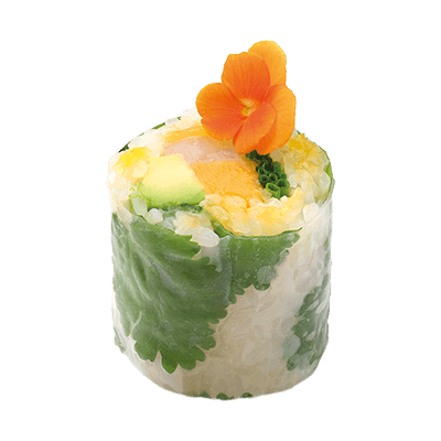 spring-mango-flower