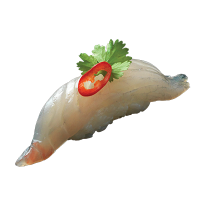 sushi-daurade
