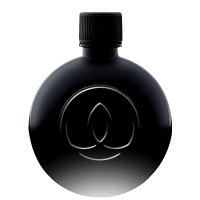 sauce-soja-salee-15cl
